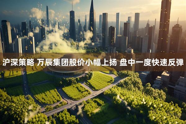 沪深策略 万辰集团股价小幅上扬 盘中一度快速反弹