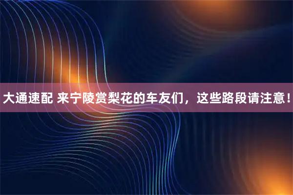 大通速配 来宁陵赏梨花的车友们，这些路段请注意！
