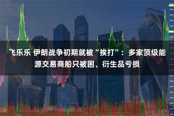 飞乐乐 伊朗战争初期就被“挨打”：多家顶级能源交易商船只被困、衍生品亏损