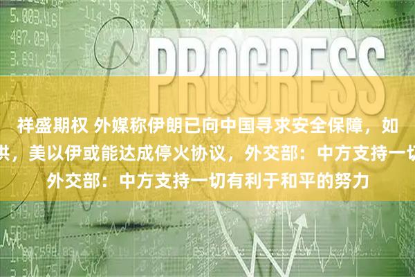 祥盛期权 外媒称伊朗已向中国寻求安全保障，如果这些保障能够提供，美以伊或能达成停火协议，外交部：中方支持一切有利于和平的努力