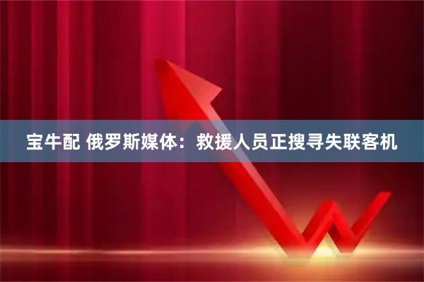 宝牛配 俄罗斯媒体：救援人员正搜寻失联客机