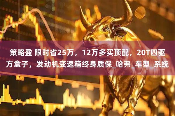 策略盈 限时省25万，12万多买顶配，20T四驱方盒子，发动机变速箱终身质保_哈弗_车型_系统